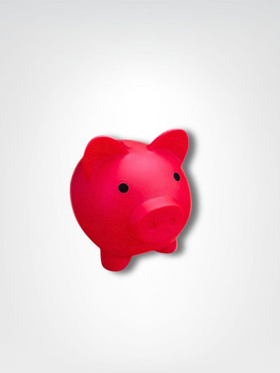 Petit cochon | Tirelire