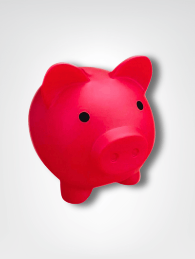 Petit cochon | Tirelire